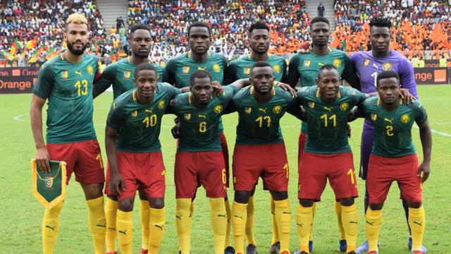 马林鱼队的 马林鱼队的