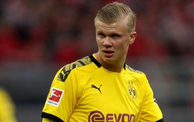 判罚依据与 判罚依据与